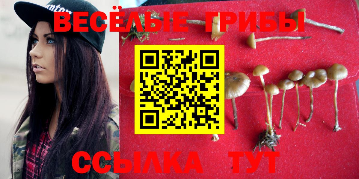 Галлюциногенные грибы Magic Shrooms Апрелевка