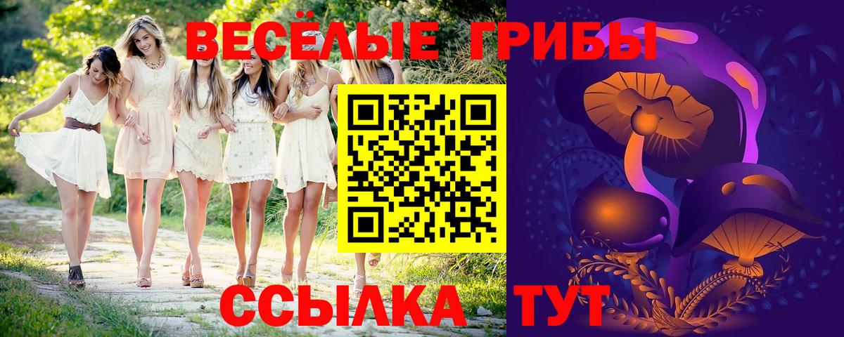 Апрелевка  Псилоцибиновые грибы мицелий  Вход с VPN  Галлюциногенные грибы мухоморы 